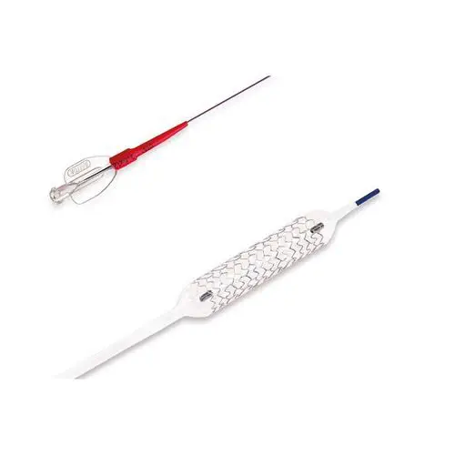 Stent Coronario Alex Plus