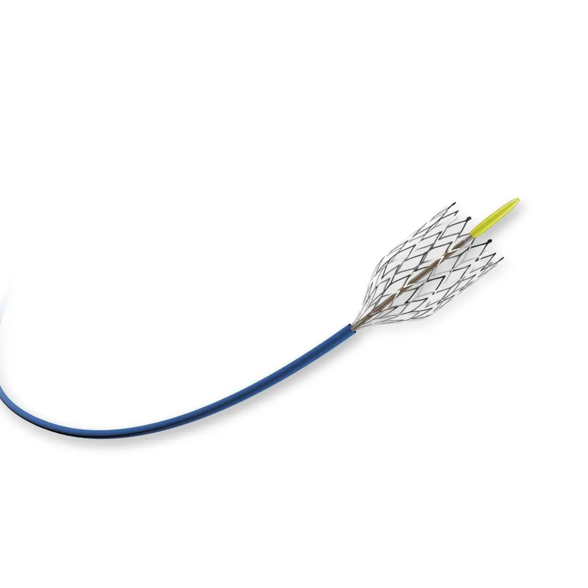 Stent Carotideo Mer